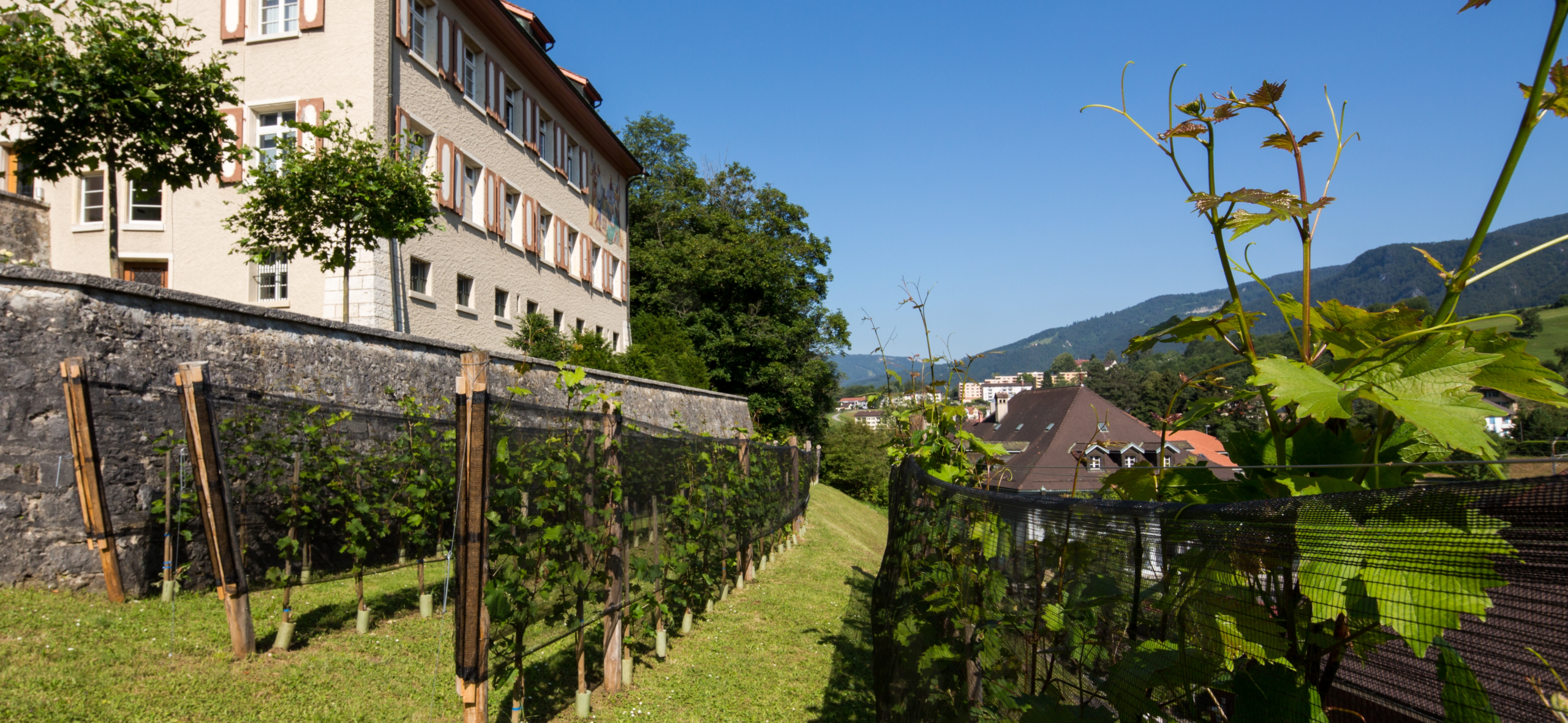 Moutier